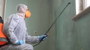 Why You Should Choose Our Mold Remediation Services in Hampton Manor, NY