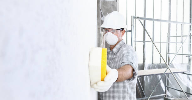 Best Mold Remediation for Healthcare Facilities in Hampton Manor, NY