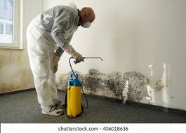 Best Mold Damage Restoration in Hampton Manor, NY